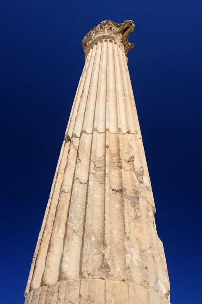 Karthago — Stockfoto