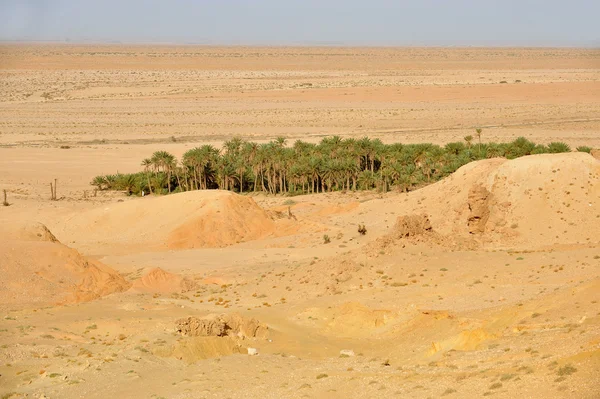 在撒哈拉沙漠中的绿洲 — 图库照片