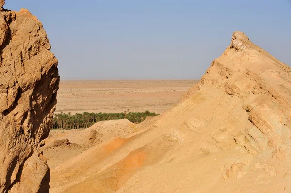 Oasis en Sahara — Foto de Stock