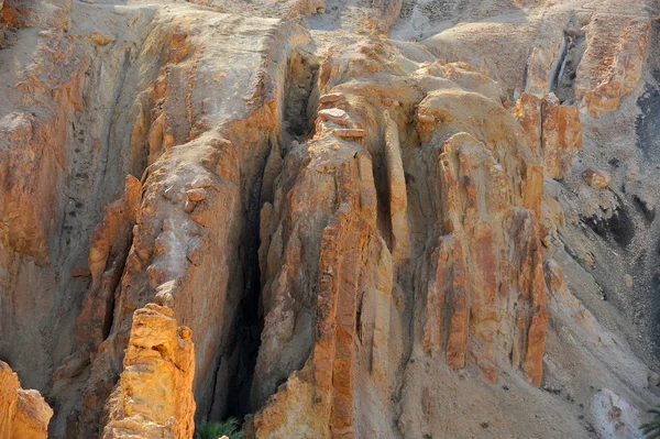 Sahara chebika — Stok fotoğraf