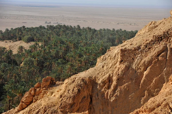 在撒哈拉沙漠中的绿洲 — 图库照片