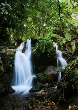 Waterfalls of Bwindi forest. 2 clipart