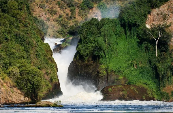 Wodospad Murchisona. — Zdjęcie stockowe