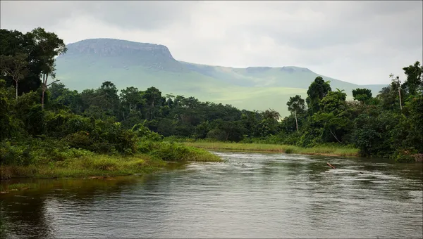 Río en la selva . — Foto de Stock