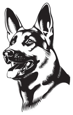 Shepherd dog illustration clipart