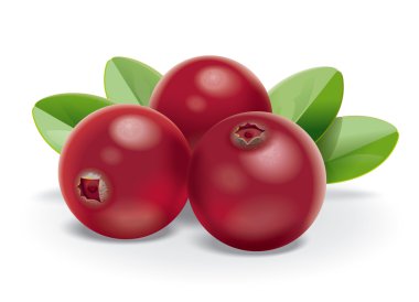 Cranberries clipart