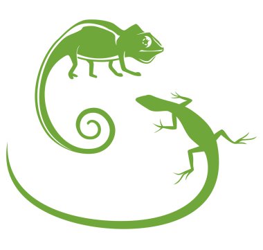 Сhameleon & Lizard illustration clipart