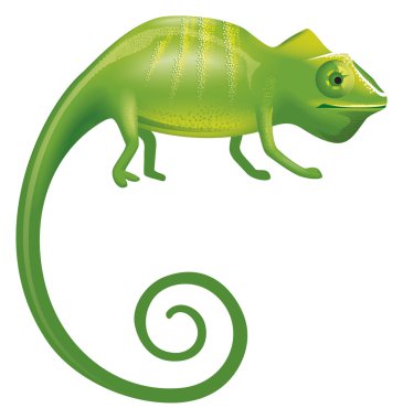 Chameleon clipart