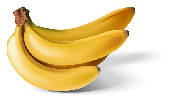 Bundle of bananas — Stock Photo, Image