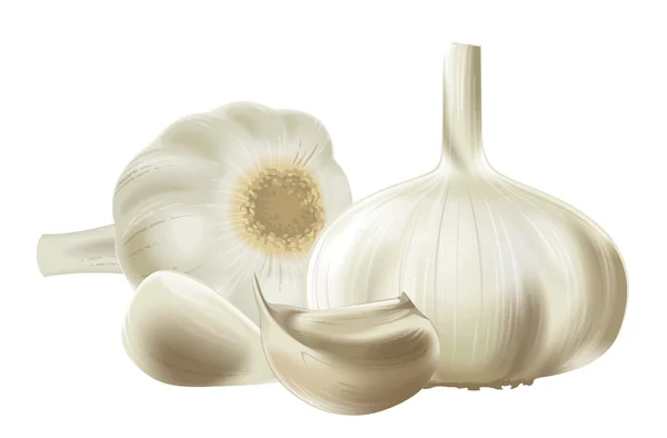 stock image Garlic composition