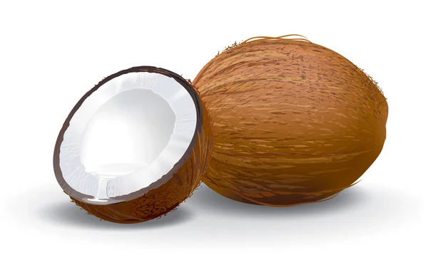 stock image Coconut