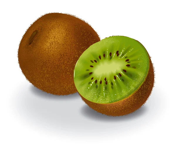 Ilustração kiwi — Fotografia de Stock
