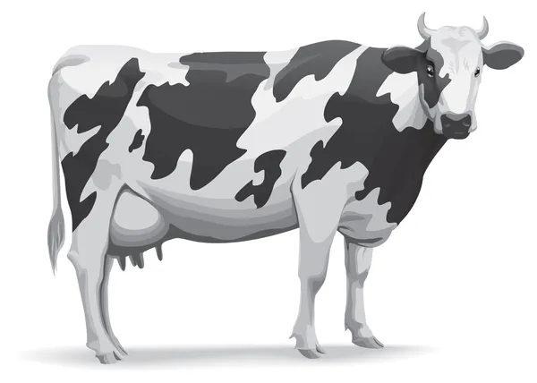 Jednej krowy — Zdjęcie stockowe