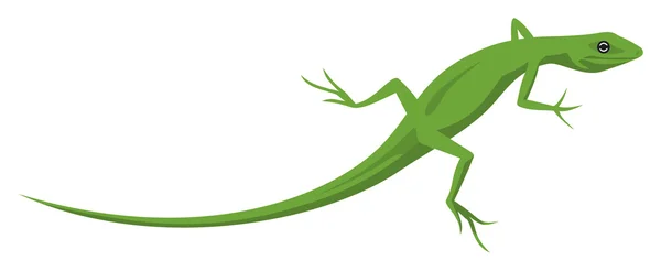Ilustração do lagarto — Fotografia de Stock