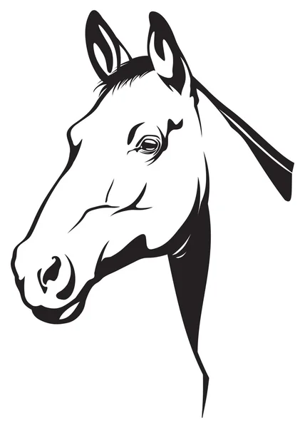 Horse illustration — Stock Photo, Image