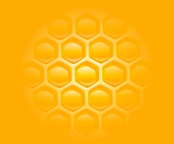 Peignes de miel fond — Photo