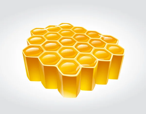Honey combs illustration — Stock Photo, Image