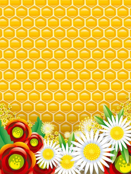 Zusammensetzung der Honigwaben — Stockfoto