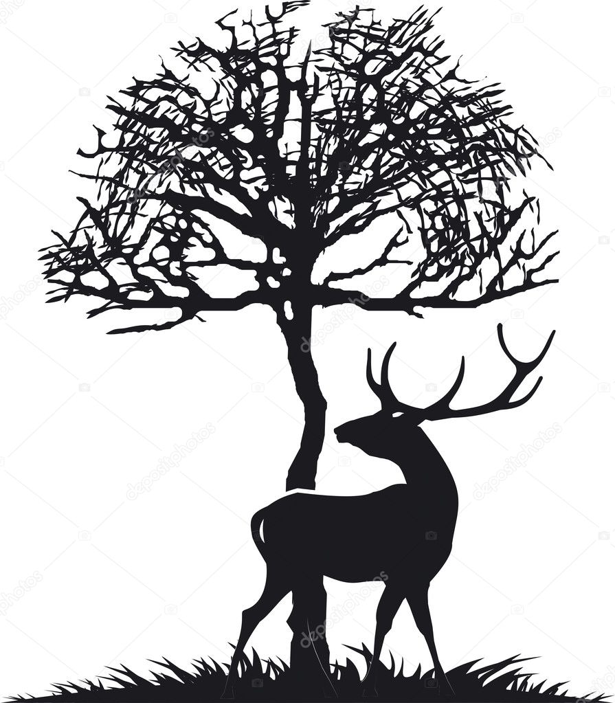 Deer under a tree