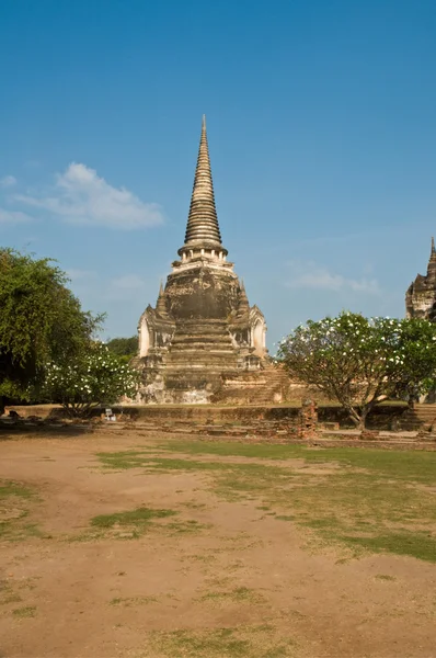 Stúpa (chedi) wat v ayutthaya, Thajsko — Stock fotografie