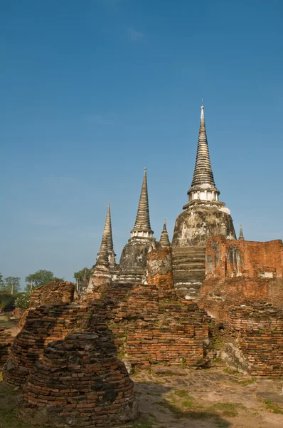 Stupa (chedi) eines Wat in Ayutthaya, Thailand — Stockfoto