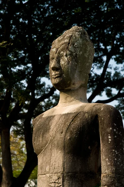 Будда стауэ покоится под деревом в Айттайе . — стоковое фото