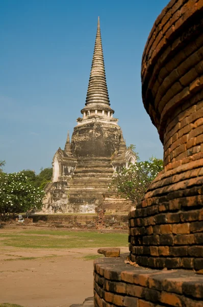 Stupa (chedi) en Wat i ayutthaya, thailand — Stockfoto
