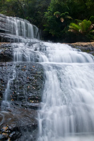 Stock image Waterfall in deep forest