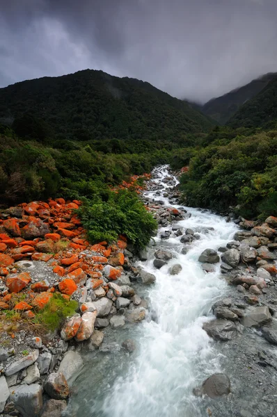 Kozí potok v bouři, arthur's pass národní park, Nový Zéland — Stock fotografie