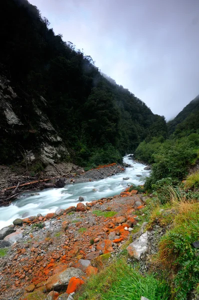 Mos op de oevers van rivier de otira, nationaal park arthur's pass — Stockfoto