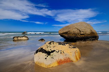 maketu, bol Yeni Zelanda bay Beach