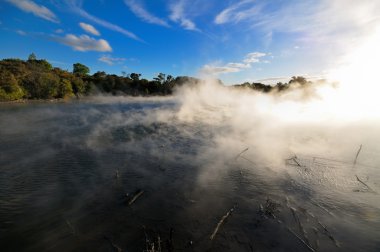 kuirau park, rotorua, Yeni Zelanda