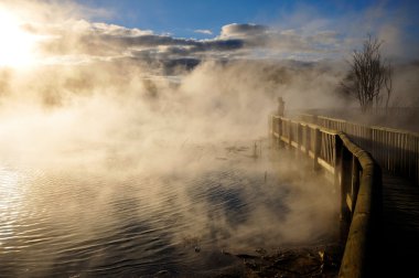 kuirau park, rotorua, Yeni Zelanda