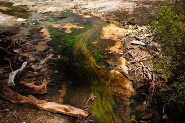 Wai-o-tapu termal harikalar, rotorua, Yeni Zelanda