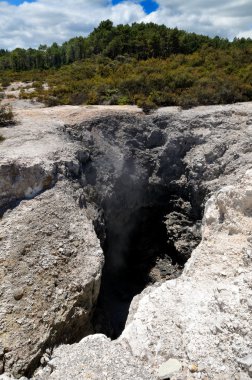 Wai-o-tapu termal harikalar, rotorua, Yeni Zelanda