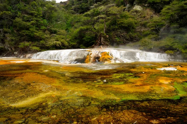 Warbrick terrass, waimangu vulkaniska dalen, rotorua, Nya Zeeland — Stockfoto