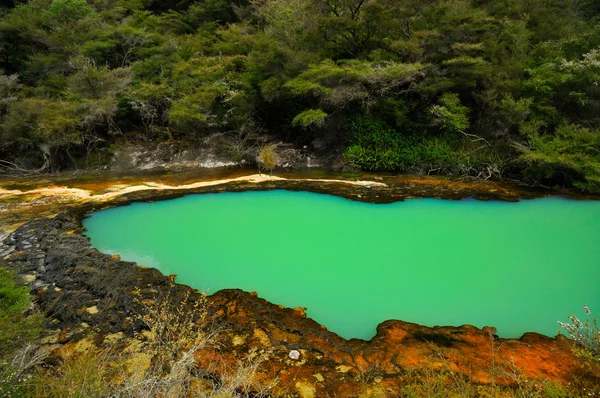 Marble Terrace, Waimangu Volcanic Valley, Rotorua, New Zealand — Stock Photo, Image