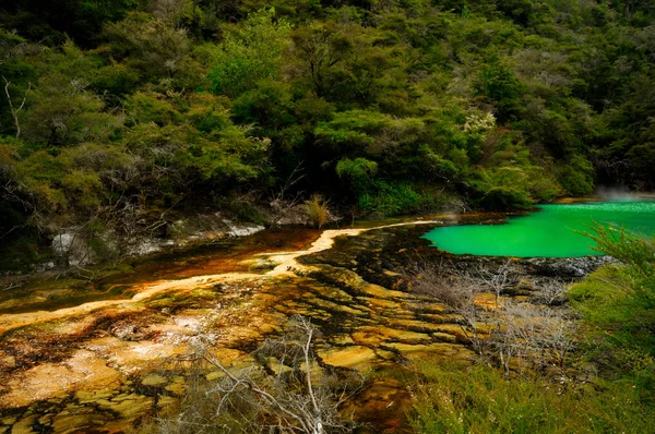 Márvány, terasz, waimangu vulkáni valley, rotorua, Új-Zéland — Stock Fotó