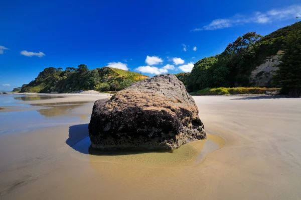 Beach in Maketu, Bay of Plenty, New Zealand — Stock Photo, Image