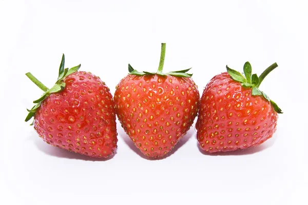 Čerstvé jahody — Stock fotografie