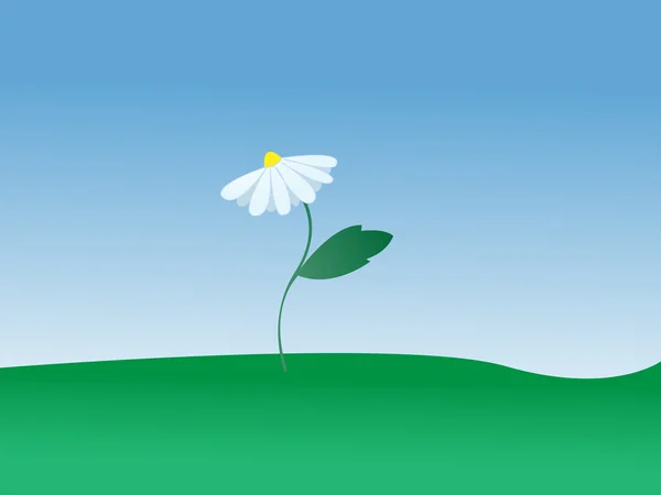 ベクトルの白い花 — ストックベクタ