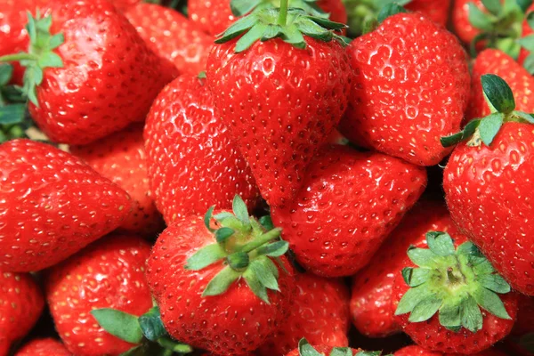 stock image Strawberry