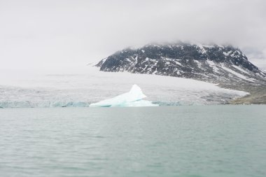 Jostedalsbreen glacier clipart