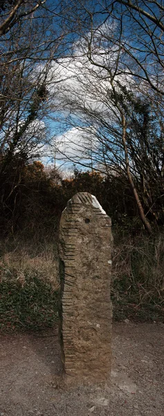 Antica pietra in piedi — Foto Stock