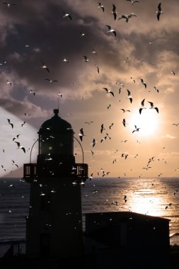 Deniz feneri akın