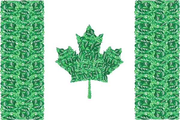 Yeşil Kanada — Stok Vektör