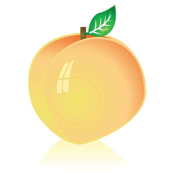 Peach — Stock Vector