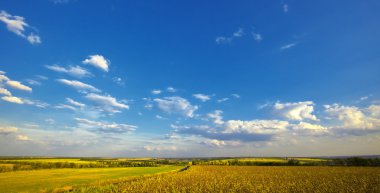 Summer rural landscape: cloudy blue sky over field clipart