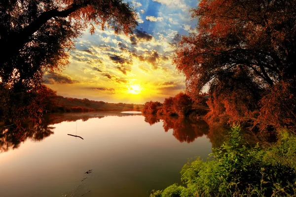 Coucher de soleil scène d'été : bungee sur l'eau de la rivière sur la forêt de beauté ba — Photo