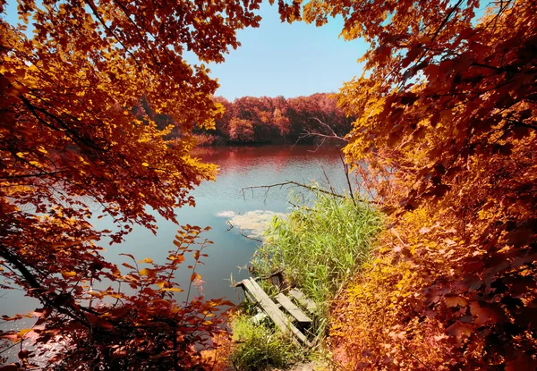 Sonbahar sahne: ağaçlar nehir ve kırık eski köprünün üzerinde